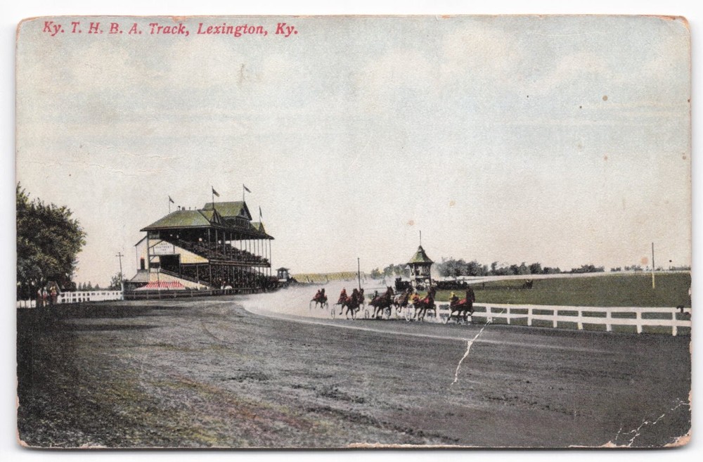 1910 Lexington KY Trotting Horse Breeders' Track Race Grandstand Postcard