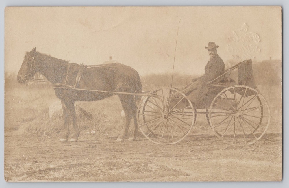 RPPC Man in Wagon with his Horse Antique Real Photo Postcard