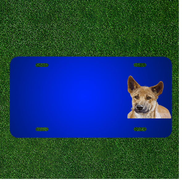 Create Stunning Personalized Custom License Plates with Photoshop Digital Painting