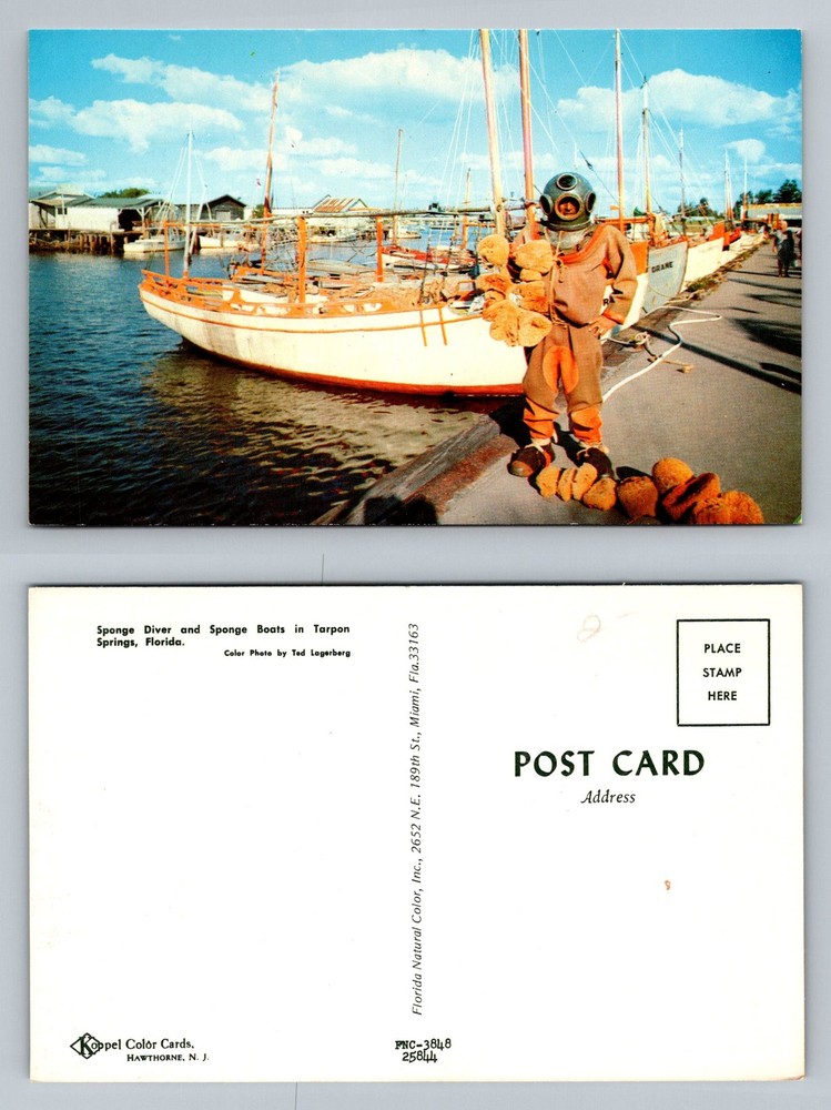 Tarpon Springs, FL-Florida, Sponge Diver And Sponge Boats Vintage Postcard
