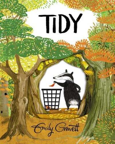 Tidy by Emily Gravett: Used
