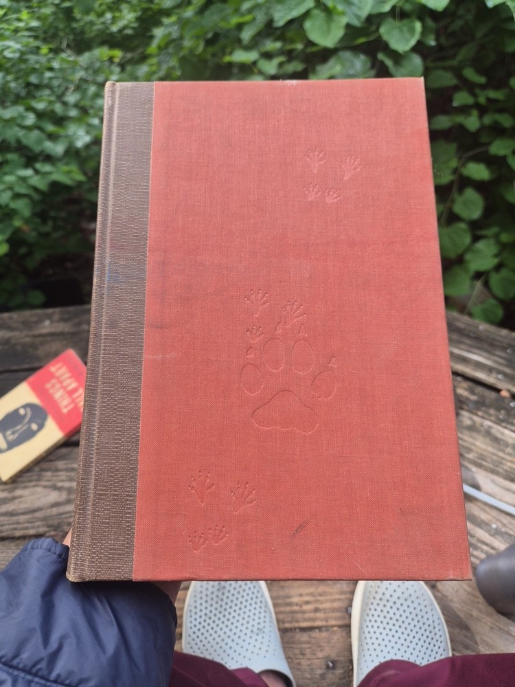 Wild Animals of North America National Geographic (1960) Hardcover Vintage