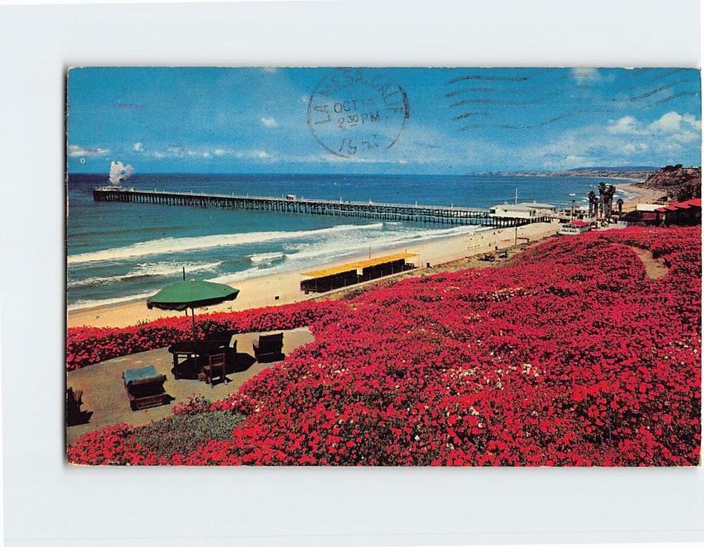 Postcard Geranium Bed Beach Scene & Fishing Pier San Clemente California USA