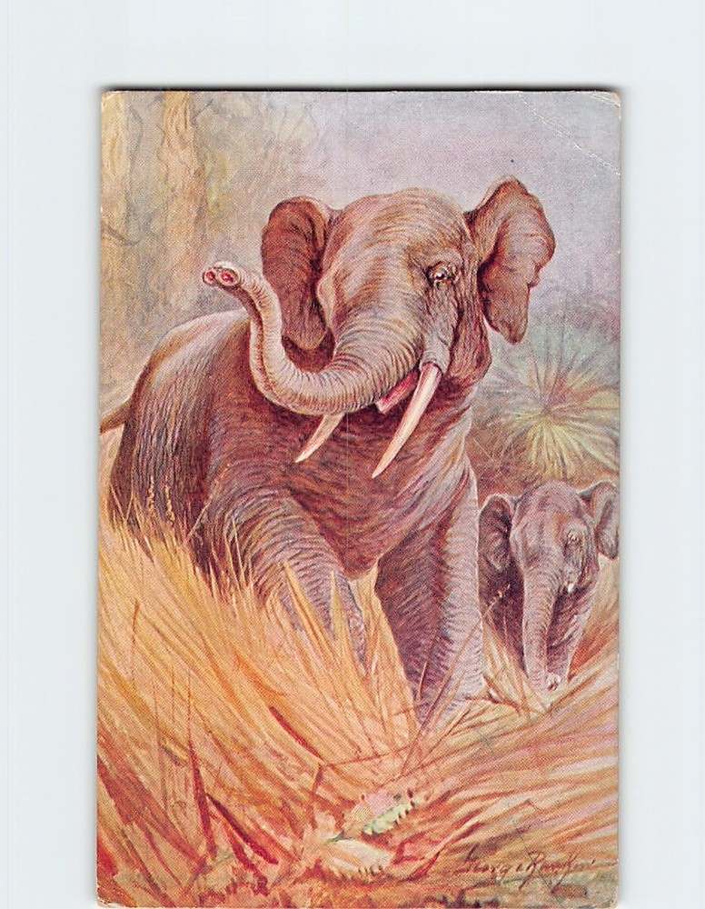 Postcard Elephant Painting/Art Print