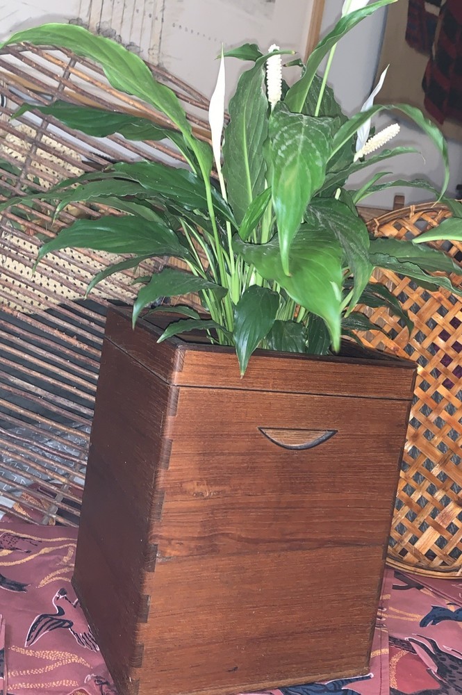 HandRubbed Wood Plant Holder•Hibachi•Japan•Antique