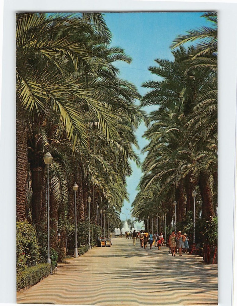 Postcard Explanada de España Alicante Spain