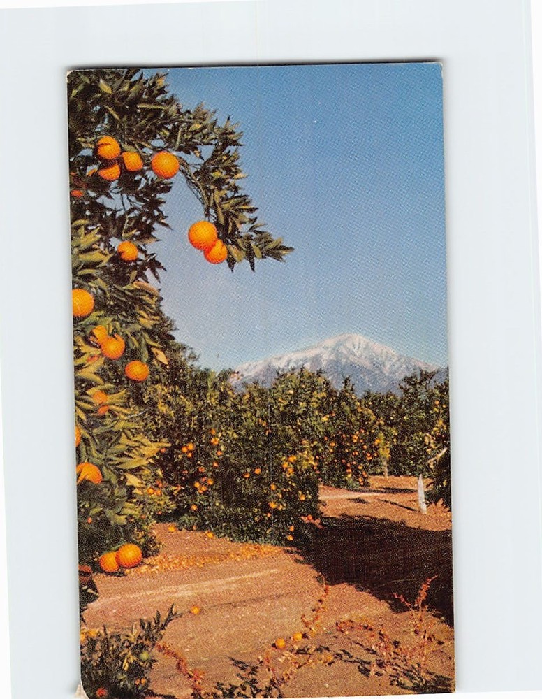 Postcard San Bernardino Foothills Southern California USA
