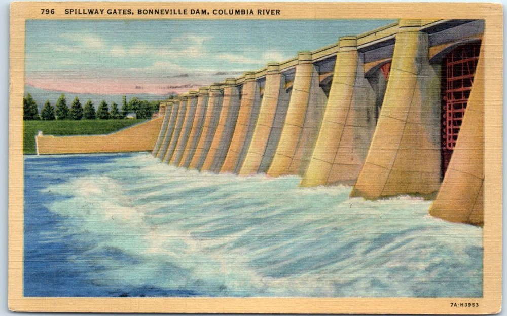 Postcard - Spillway Gates- Bonneville Dam - Columbia River - Washington-Oregon