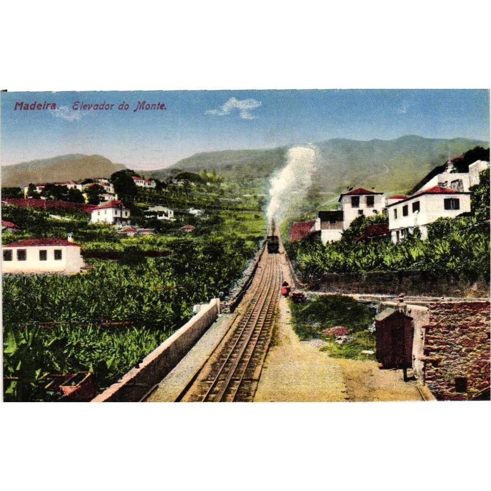 Madeira Elevador do Monte Railway Vintage Postcard Portugal