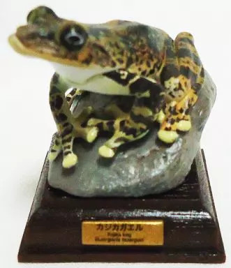 Kajika Frog Mini Figure Nature Technicolor Japanese Frog Collectible