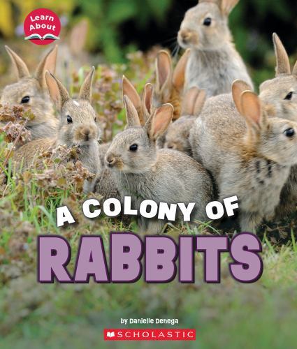 Colony of Rabbits (Learn about: Animals) by Danielle Denega (2023, Trade ...