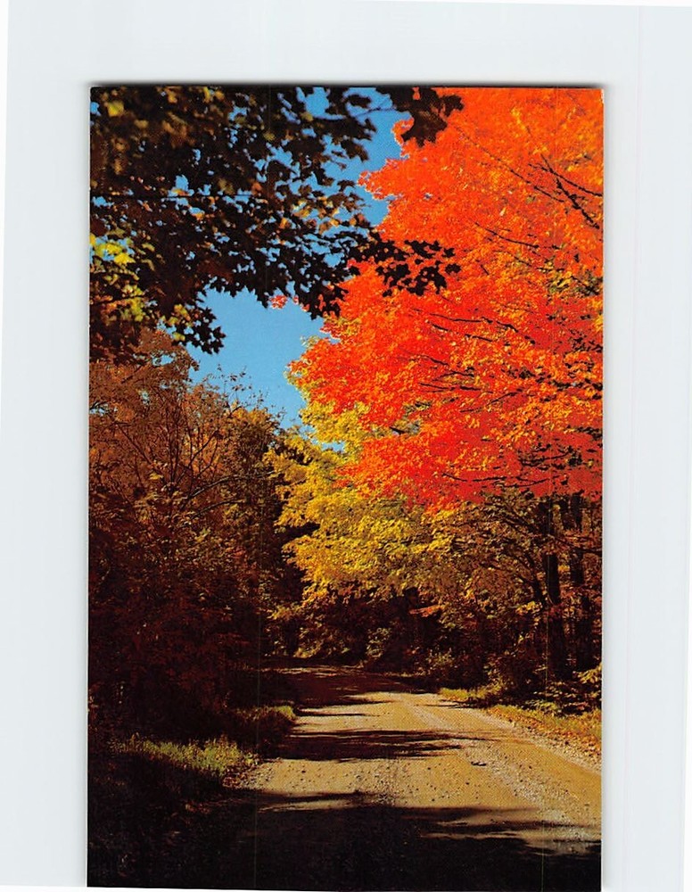 Postcard Autumn Glory Scene