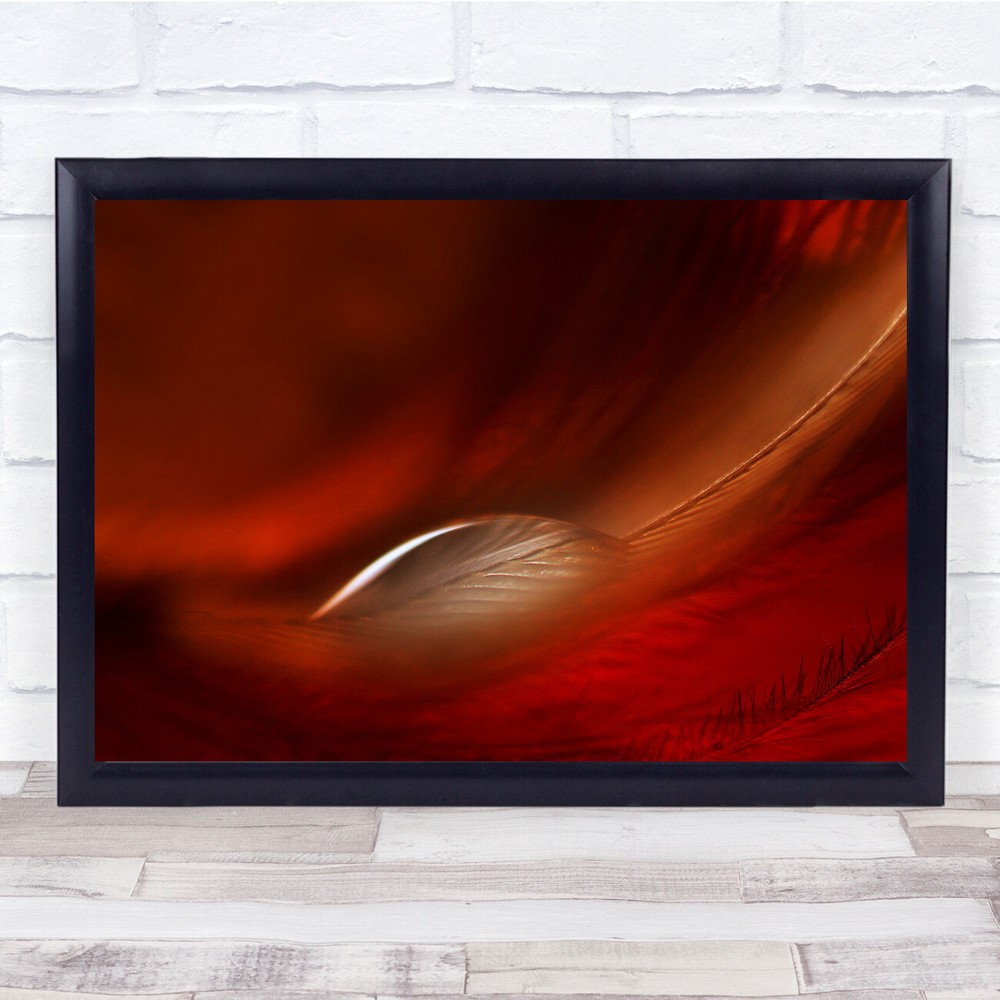 Drop Red Macro Feather Soft Water Droplet Bokeh Blur Wall Art Print