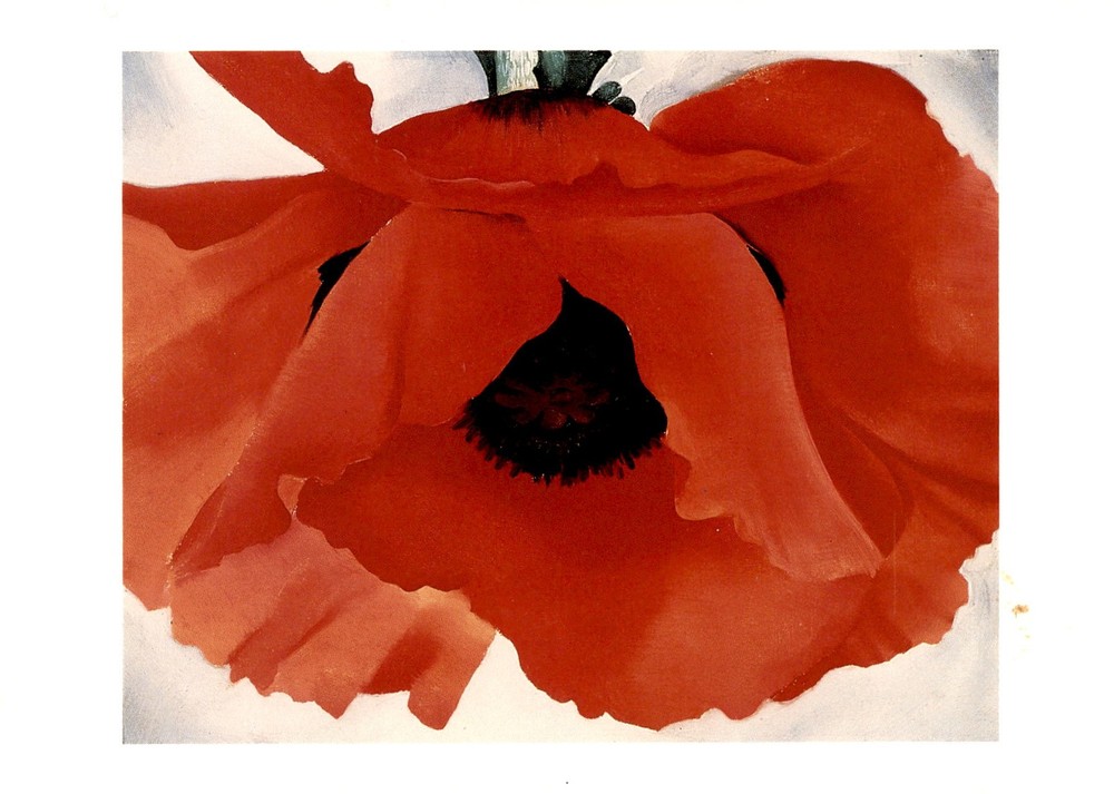Georgia O'Keeffe, Red Poppy, 1927, oil on canvas, Art Institute of Postcard