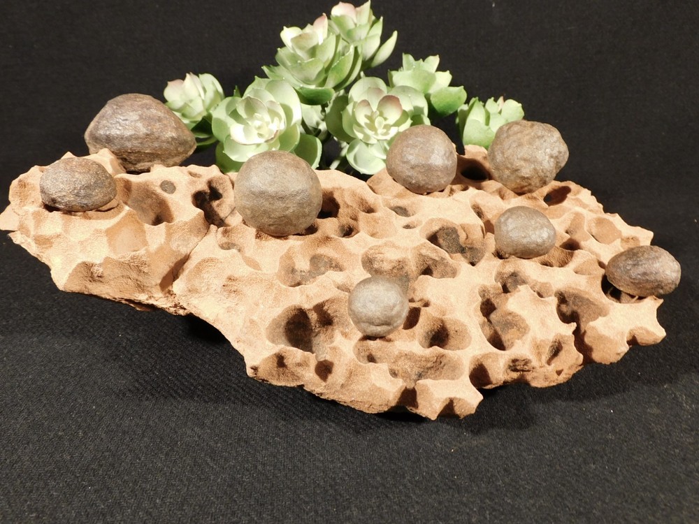 EIGHT! Moqui Marbles on a Big! ERODED Navajo SANDSTONE Formation Utah 1681gr