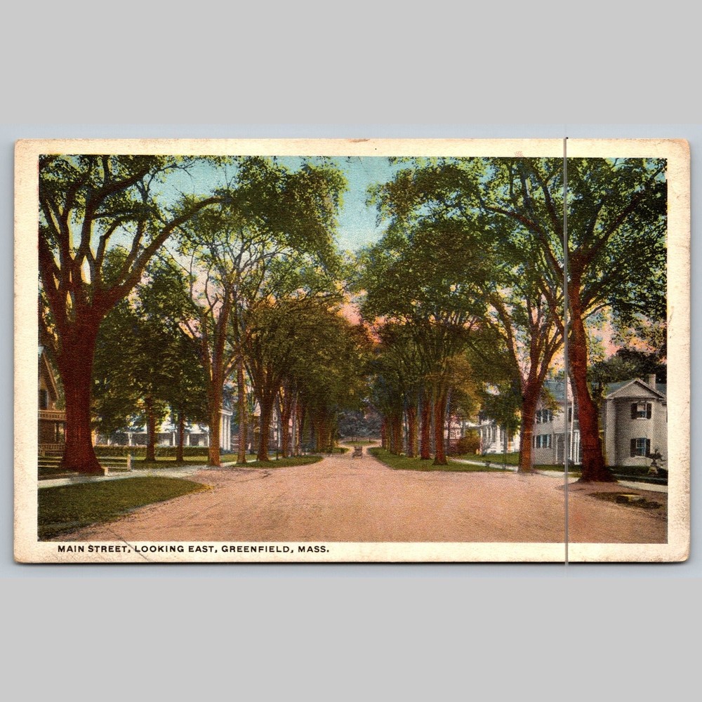 Postcard Main Street Looking East Greenfield Massachusetts