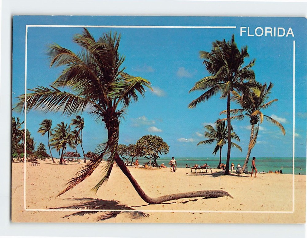 Postcard Coconut Palms Beach Scene Florida USA