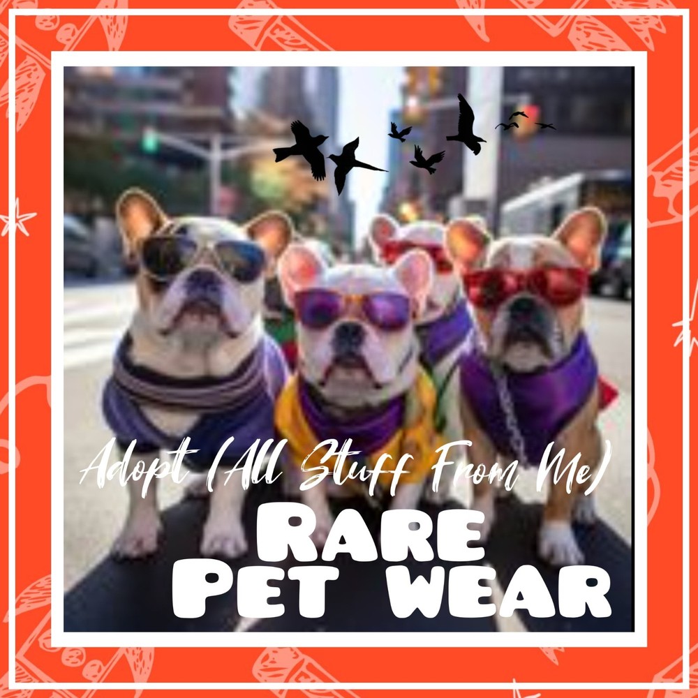 🌸Adopt (All Stuff) Today! 🌸 🌟Rare🌟 📿 Cute & Cheap 🧣PET WEAR🪭 💡