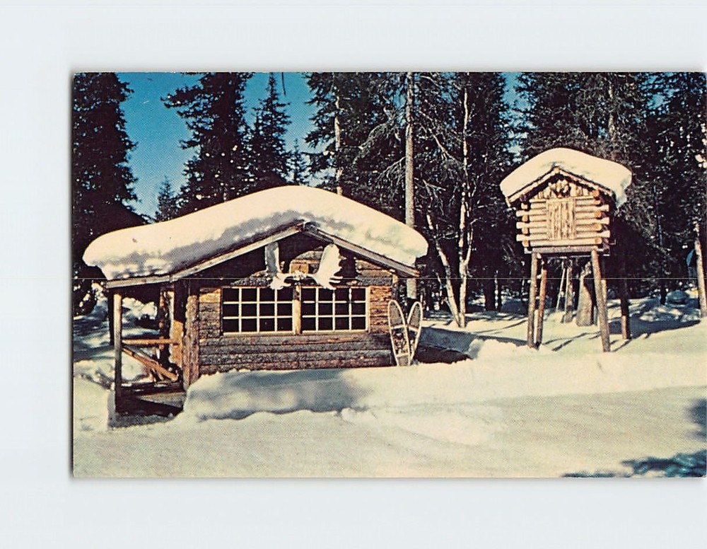 Postcard Snow Covered Trapper's Cabin Alaska USA
