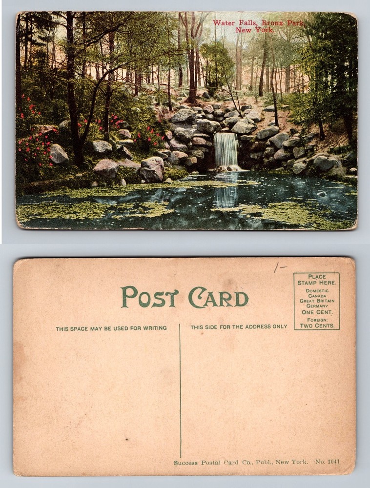 Bronx, NY-New York, Water Falls Bronx Park Scenic Stream Vintage Postcard