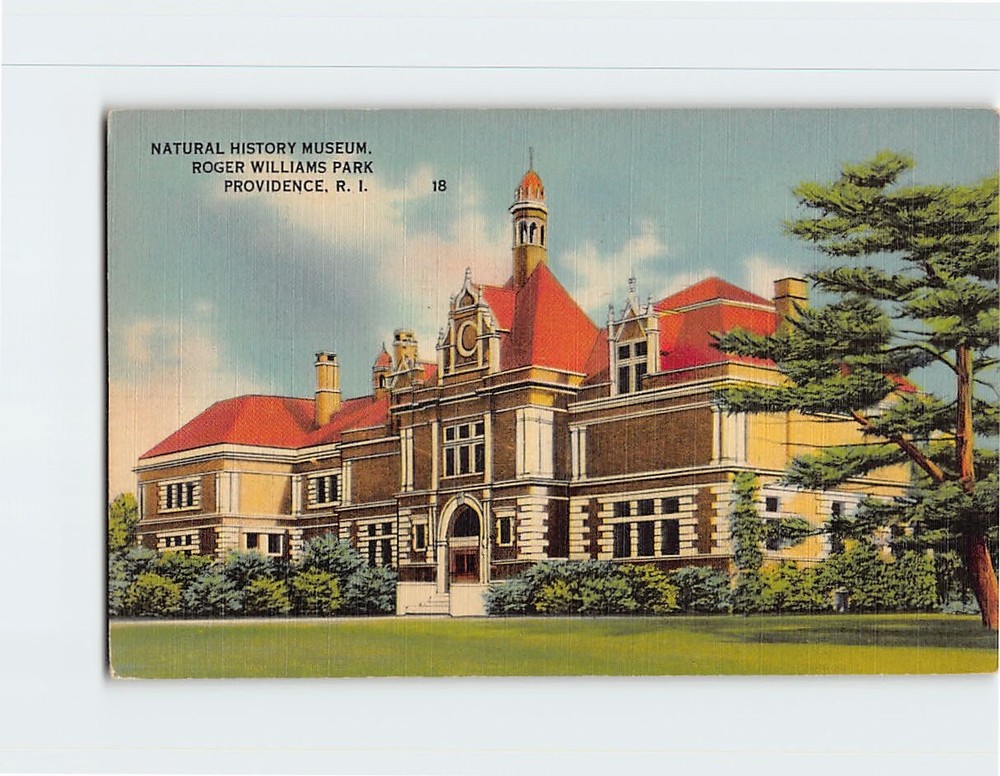 Postcard Natural History Museum Roger Williams Park Providence Rhode Island USA