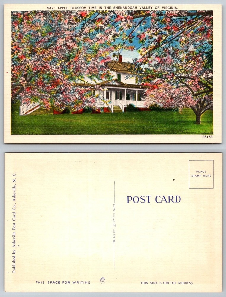 Apple Blossom Time Shenandoah Valley Virginia House Linen Postcard VTG