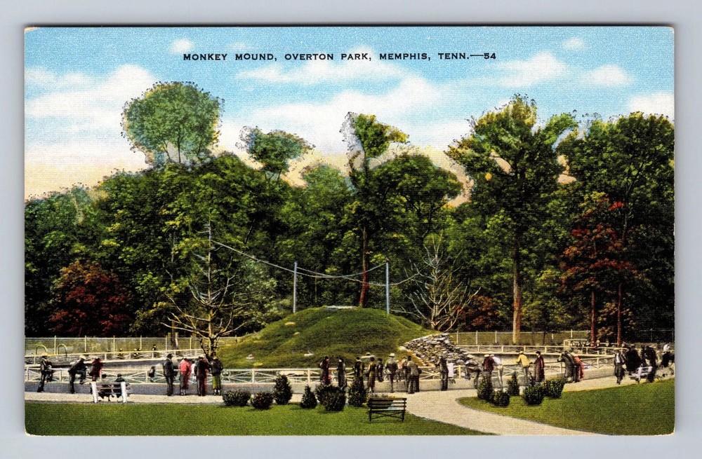 Memphis TN-Tennessee Monkey Mound Overton Park Vintage Postcard