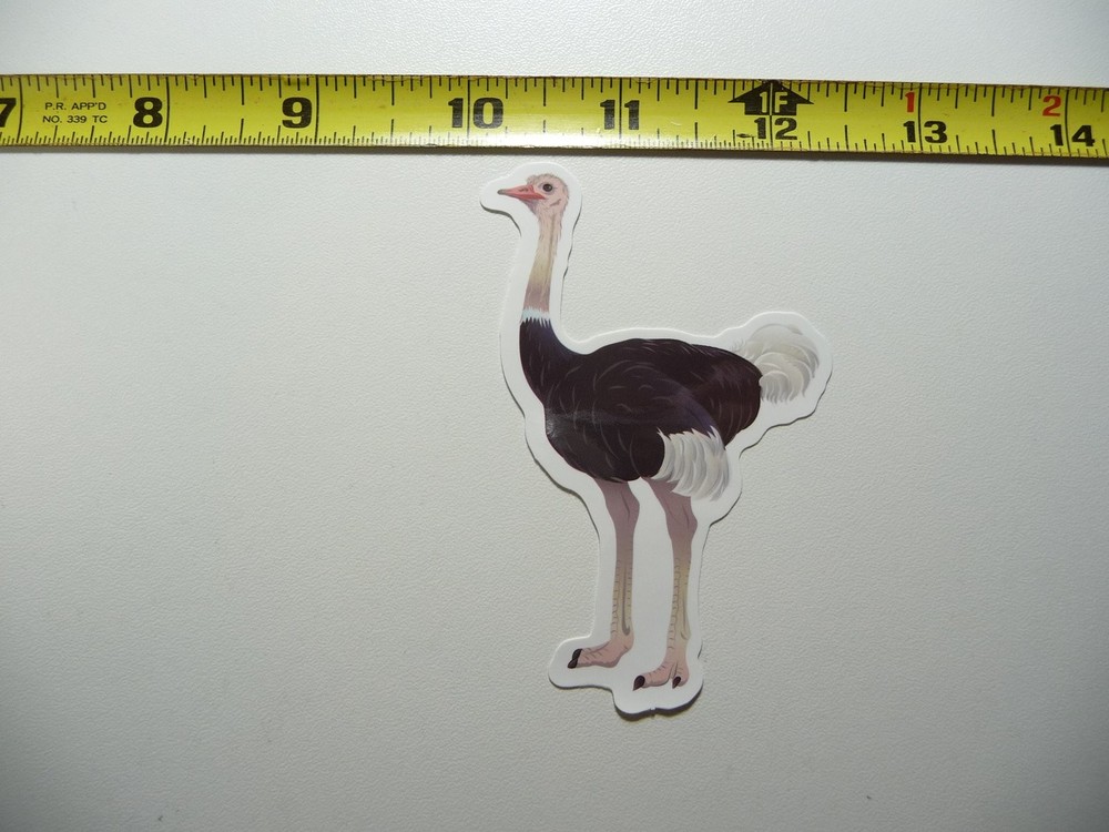 Ostrich Animal Zoo Decal Sticker Wild Fun Cute Design