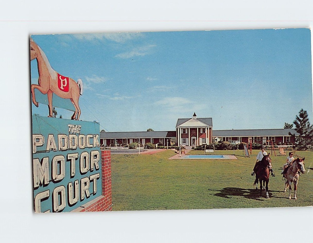 Postcard The Paddock Motor Court & Restaurant Manning South Carolina USA