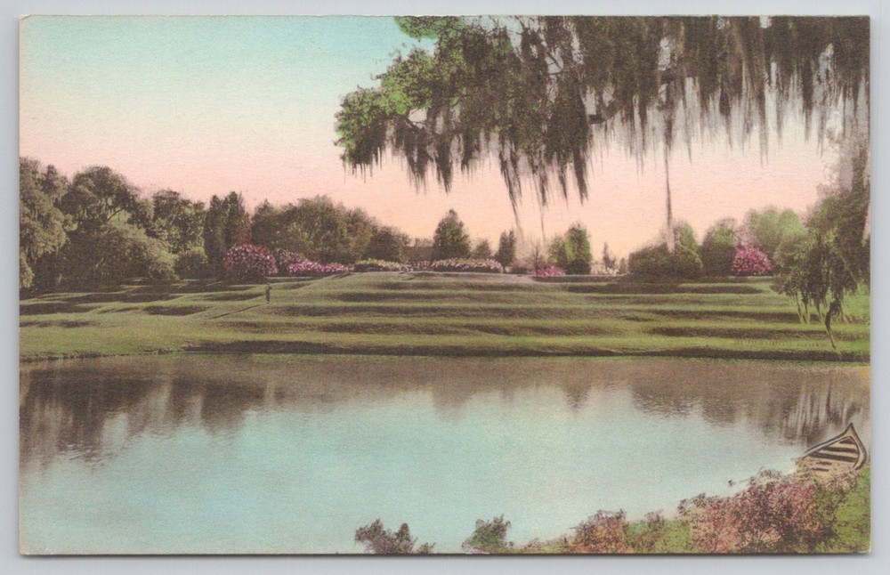 Middleton Place Gardens Charleston SC Terraces Riverfront Hand-Colored Postcard