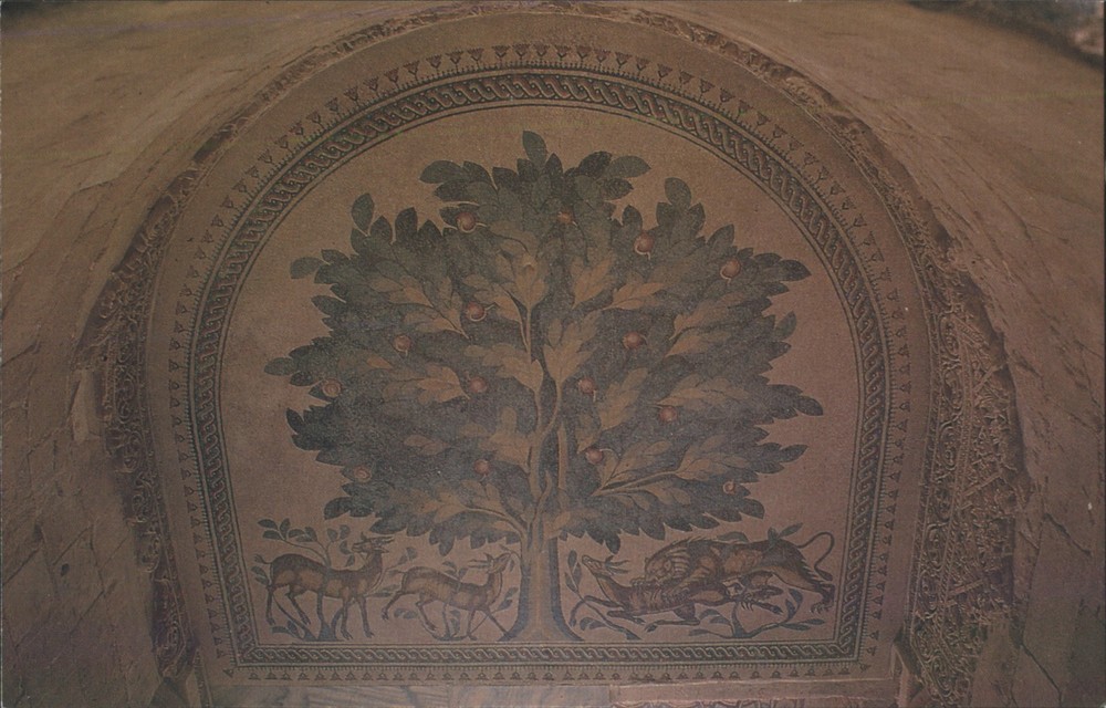 Garo M.N. Jericho, Palestine Hisham's Palace Mosaic Floor, Tree of Life Postcard