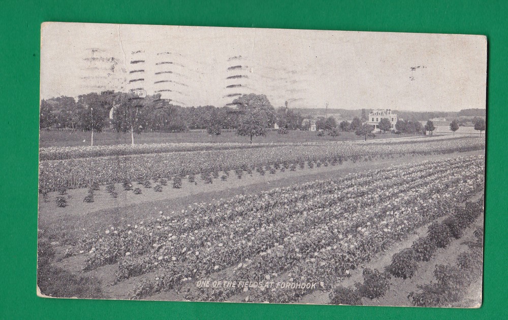 Pennsylvania - Philadelphia, Pa. Fields At Fordhook Pc. 2524