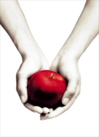 Twilight By Stephenie Meyer. 9781907410482
