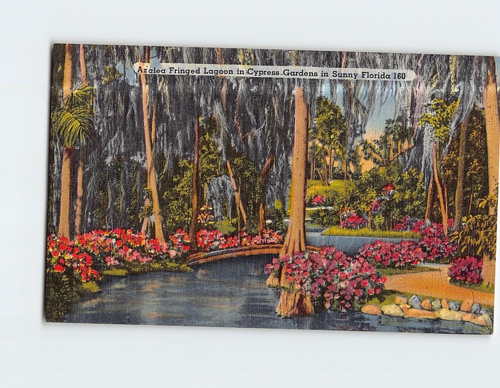 Postcard Azalea Fringed Lagoon in Cypress Gardens in Sunny Florida USA