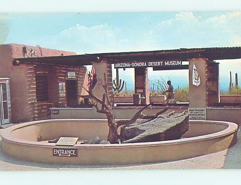 Chrome MUSEUM SCENE Tucson Arizona AZ AG0797