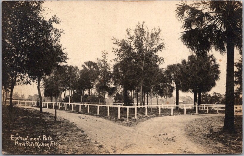 NEW PORT RICHEY, Florida Real Photo RPPC Postcard 