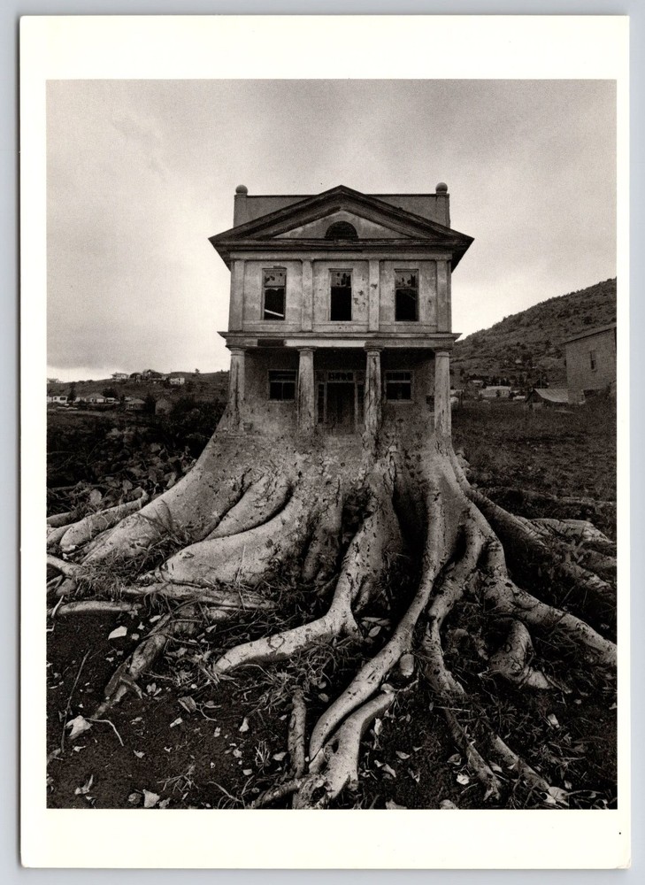 Jerry Uelsmann Surreal Postcard Untitled 1982 Tree House Art Fotofolio