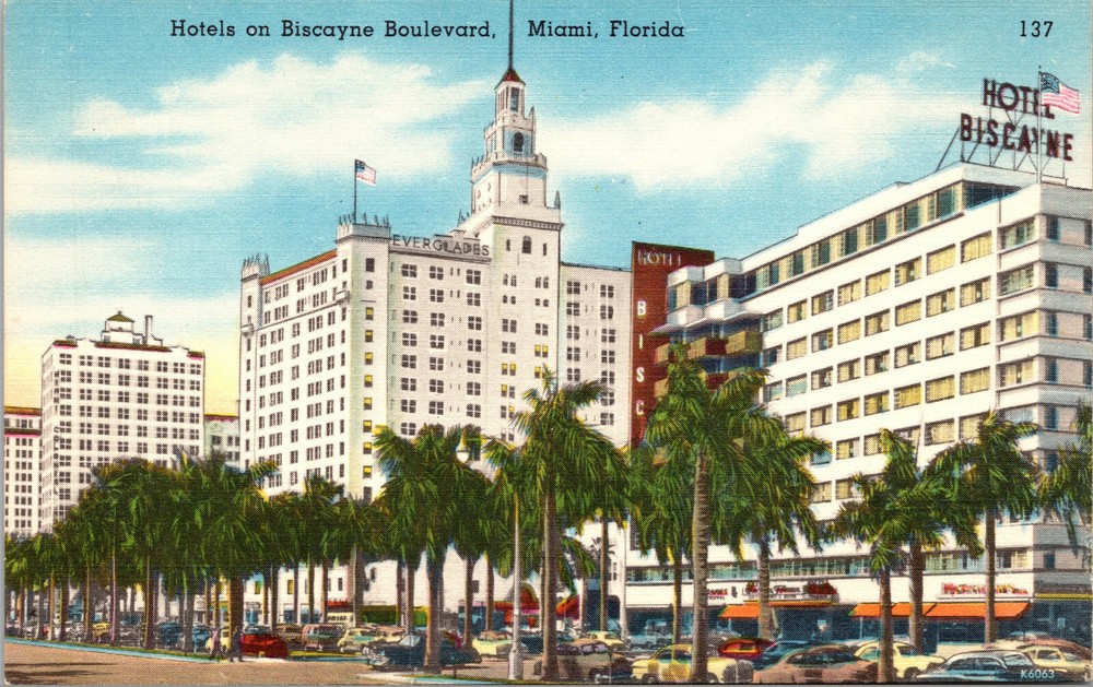 Hotels on Biscayne Boulevard Miami Florida Vintage Postcard