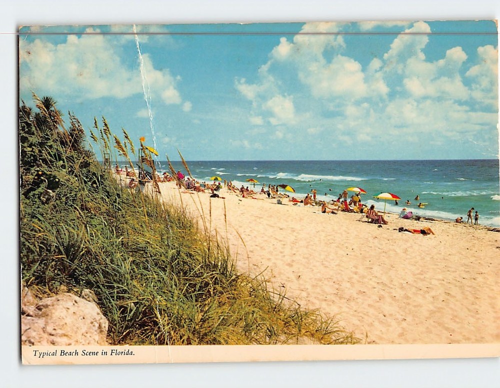 Postcard Typical Beach Scene in Florida USA