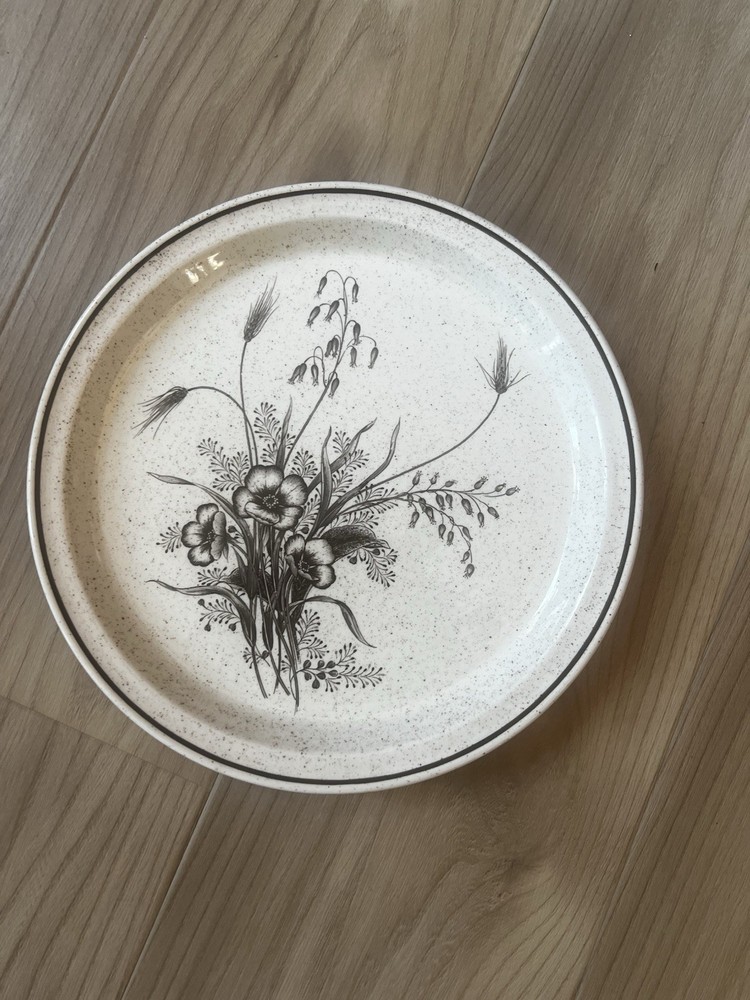 Brendan Erin Stone Marsh Flowers Plates 10.5 in Set of 2 Arklow Ireland