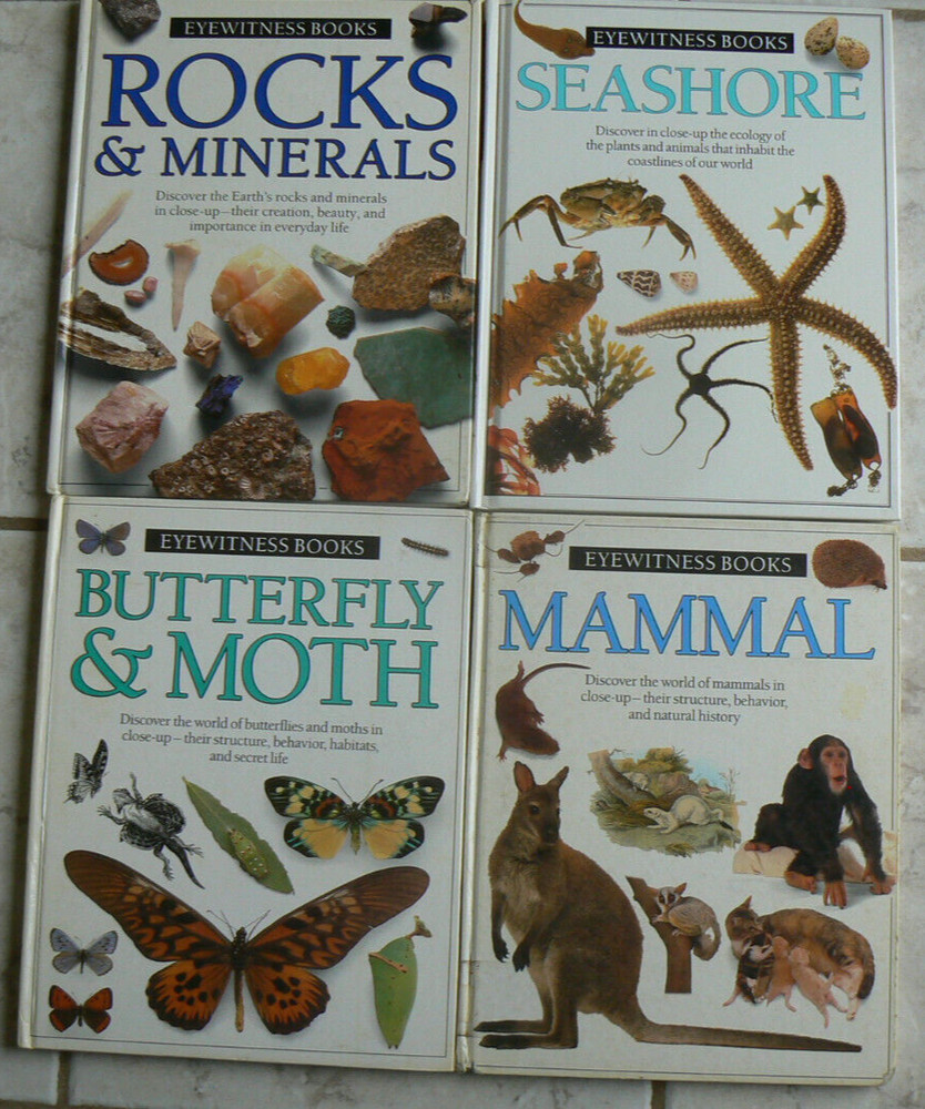 4 DK Eyewitness Books ROCKS*SEASHORE*MAMMAL*BUTTERFLY* HC/DJ Dorling Kindersley