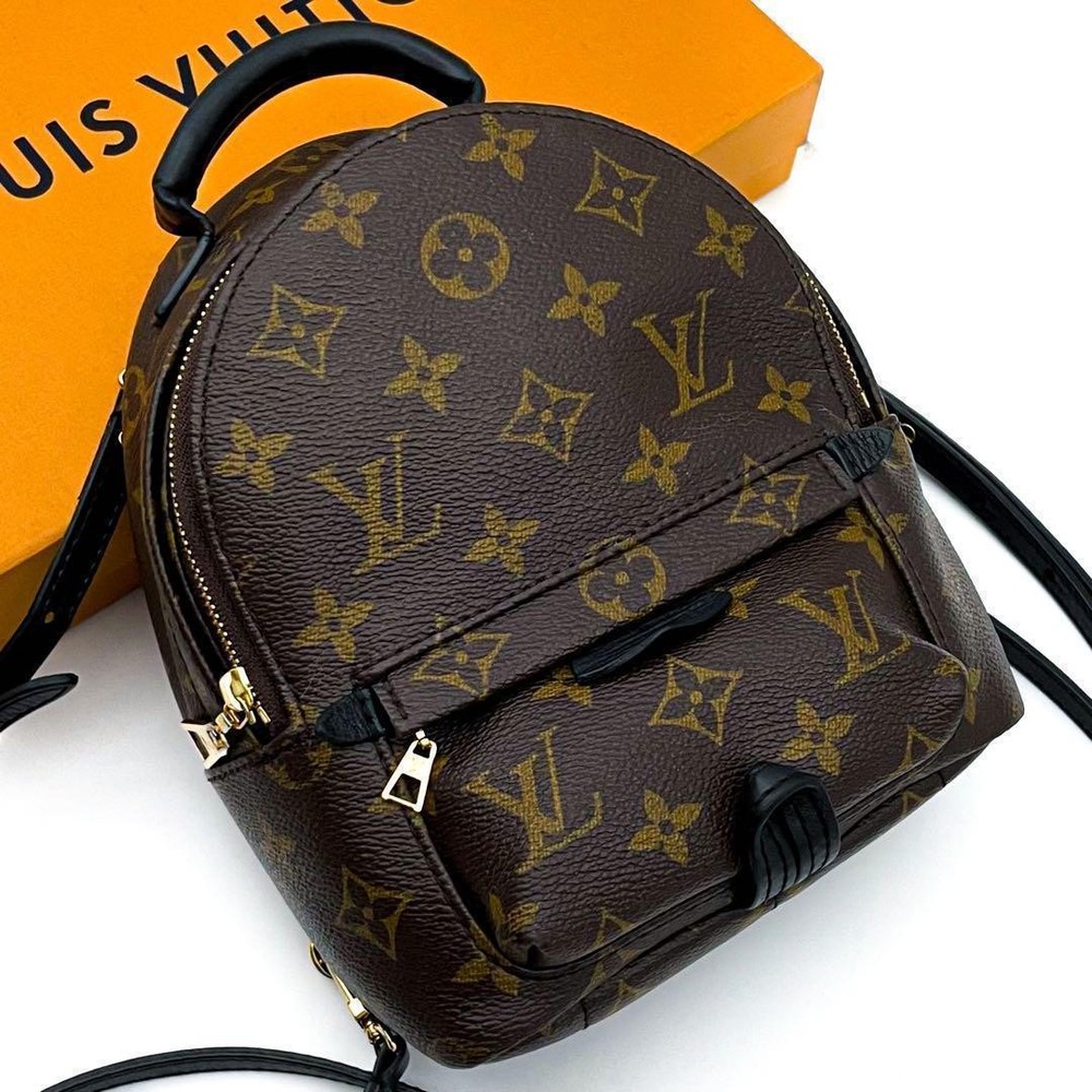 Louis Vuitton Monogram Palm Springs Mini Backpack Luxury Style