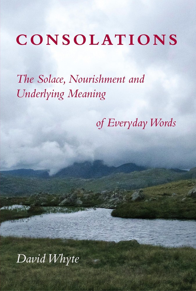 Consolations: The Solace, Nourishment and Underlying Meaning of Everyday Wor...