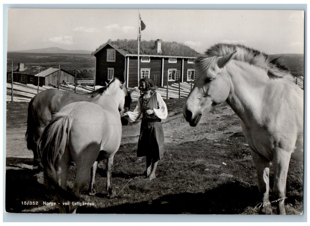Molde Møre og Romsdal Norway RPPC Photo Postcard At Fjellgarden c1950's