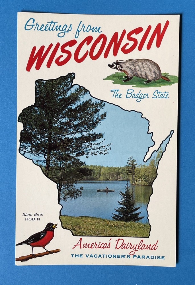 Greetings From Wisconsin The Badger State Vintage Postcard UNUSED