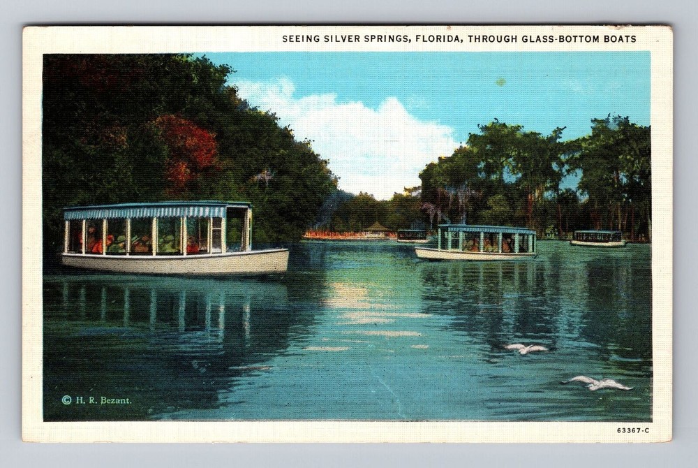 Florida FL Silver Springs Seeing Through Glass Bottom Boats Vintage Postcard