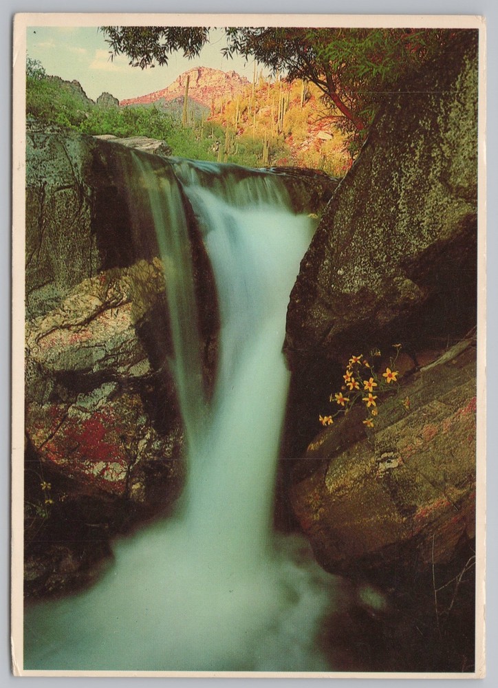 Tucson AZ~Cascade Bear Mountain Creek Cabino Canyon~Continental Postcard
