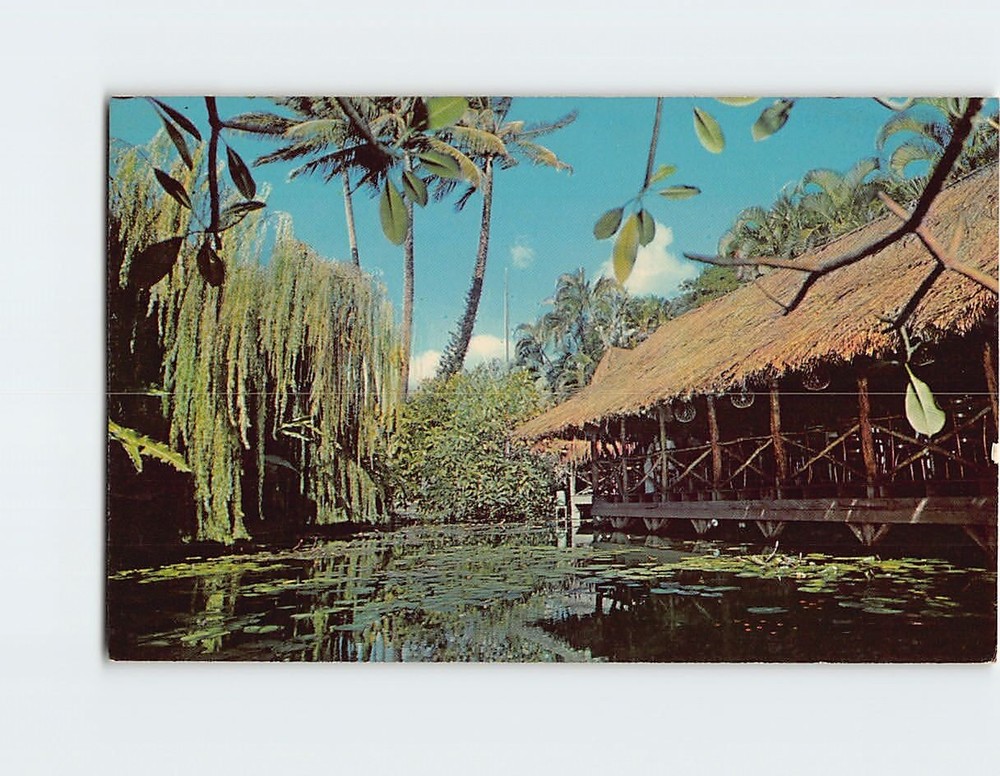 Postcard The Willows Honolulu Hawaii USA