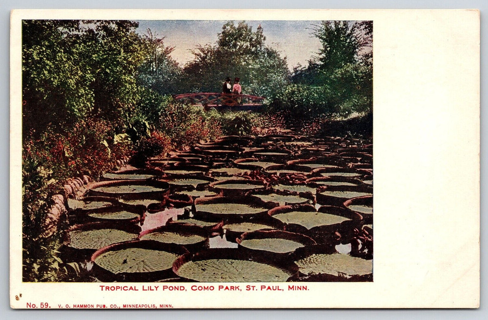 Vintage Postcard Old Antique Tropical Lily Pond Park Bridge St. Paul Minnesota