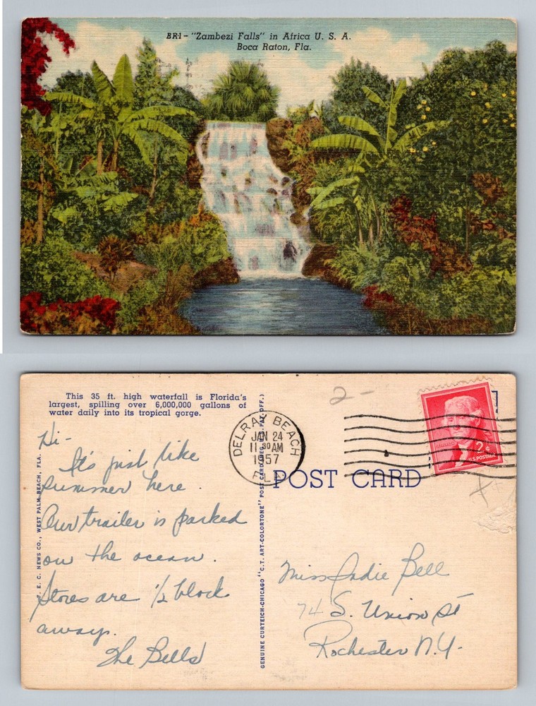 Boca Raton, FL-Florida, Zambezi Falls Africa U.S.A. Vintage c1957 Postcard